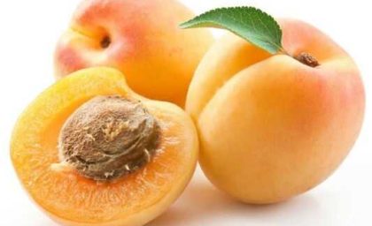 هشدار جدی درباره مصرف هسته زردآلو/ هسته ای که از سم خطرناک تر است!