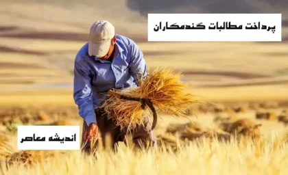 زمان پرداخت مطالبات گندمکاران اعلام شد / جدول واریزی‌ها منتشر شد / گندمکاران منتظر چه روزی باشند؟ / جزئیات کامل نحوه دریافت مطالبات