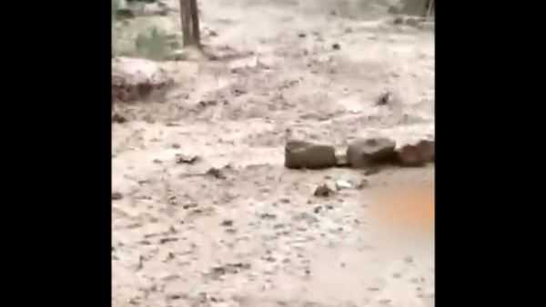 هشدار و آماده‌باش هلال‌احمر در پی بارش‌های شمال کشور