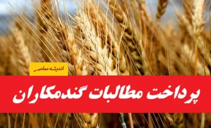آخرین اخبار پرداخت پول گندمکاران 1404| پرداخت ۴۴ درصد مطالبات گندم‌کاران تا تیر ۱۴۰۴ + قیمت جدید خرید تضمینی گندم(15 مرداد 1404)