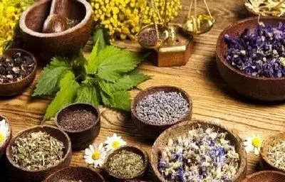 گیاهانی که سنگ صفرا را مثل نمک در آب حل می‌کنند!