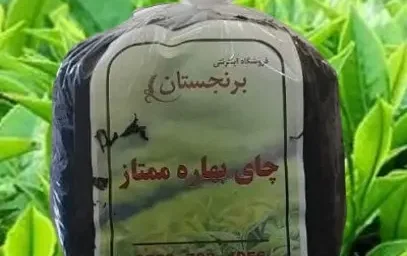 خبر مهم رئیس سازمان چای کشور برای چایکاران/ فرصت تمام شد
