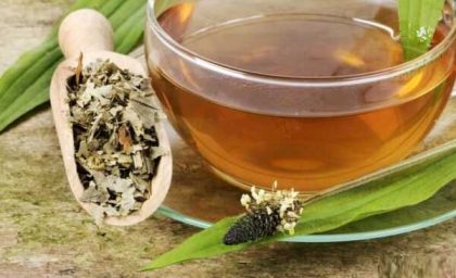 هفت خاصیت اعجاب‌انگیز گیاه دم‌اسب که هیچ کس درباره آن نمی‌داند! / 🌿 دم‌اسب، گیاه شگفتی‌ها؛ هفت فایده ناب که سلامتی و زیبایی شما را دگرگون می‌کند!