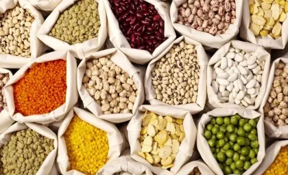 لوبیا چیتی رکورد گرانی را شکست