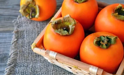 هشدار جدی درباره مصرف خرمالو؛ علت اصلی انسداد روده چیست؟ / از باور غلط تا واقعیت پزشکی؛ خرمالو چگونه مشکل‌ساز می‌شود / روش درمان انسداد روده به زبان ساده