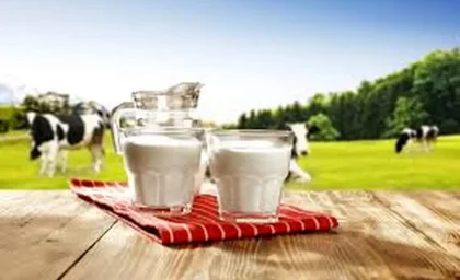چه ساعتی شیر و خرما بخوریم؟ / توصیه متخصصان تغذیه / تاثیر مصرف درست بر بدن
