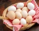 لیست قیمت جدید تخم مرغ ۲۶ آذر ۱۴۰۴