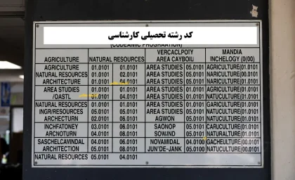 کد رشته تحصیلی کارشناسی/ راهنمای کامل دریافت و کاربرد در کنکور و ثبت‌نام‌ها