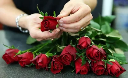 ایده‌های خلاقانه برای دسته گل عروس / جدیدترین مدل‌های دسته گل ۱۴۰۴ / طراحی دسته گل خاص و متفاوت / راهنمای انتخاب دسته گل عروس