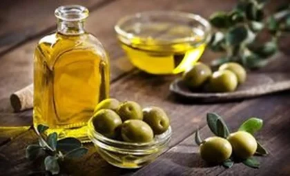 زیتون، میوه‌ای معجزه‌آسا برای سلامت شما! / فواید بی‌نظیر برای قلب، مغز و پوست / چگونه آن را به سفره روزانه اضافه کنیم