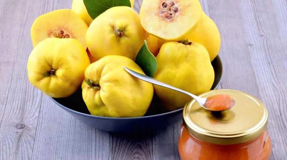 میوه به؛ راز تن‌درستی و سلامت بدن / چرا این میوه در رژیم غذایی شما ضروری است؟ / فواید و روش‌های مصرف میوه به