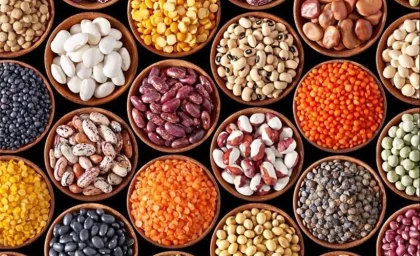 جست‌وجوی خوراکی‌های فیبر بالا و کلسترول صفر / راهنمای انتخاب مواد غذایی سالم / نکات تغذیه‌ای طلایی