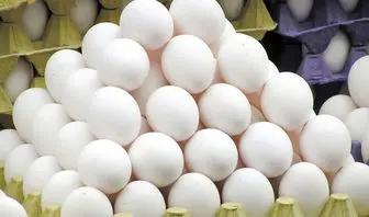 لغو ممنوعیت صادرات تخم‌مرغ با کاهش قیمت/ آزادسازی تدریجی تجارت در دستور کار دولت