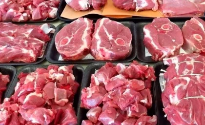 قیمت گوشت به ۸۰۰ هزار تومان رسید / جزئیات عرضه گوشت در فروشگاه‌ها و تغییرات بازار امروز