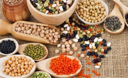 ۴ ماده جادویی تقویت مغز: بلوبری، گردو، ماهی سالمون و سبزیجات برگ‌دار / راز کارایی بالای ذهن: آووکادو، روغن نارگیل، تخمه کدو و کلم بروکلی در صدر لیست!