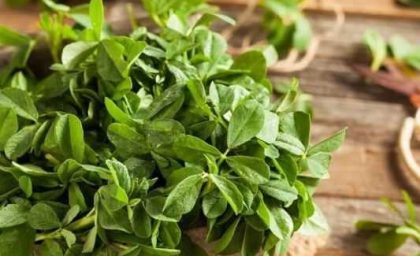 جوان نگه داشتن مغز چگونه ممکن است؟ / ۴ روش کلیدی برای جوان نگه داشتن مغز / پیشگیری علمی از افت حافظه