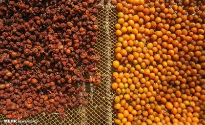 این ۳ خوراکی یبوست را بهتر می‌کنند