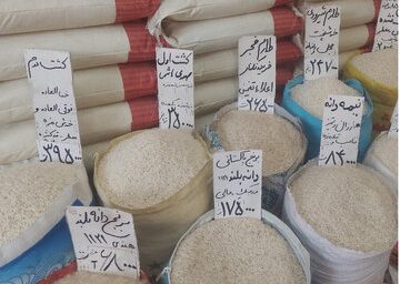 قیمت برنج در میادین تهران اعلام شد | جدول کامل نرخ‌های مصوب ۲۵ خرداد ۱۴۰۵ | از برنج هاشمی ۴۵۰ تا هندی ۲۱۵ هزار تومان + جزئیات