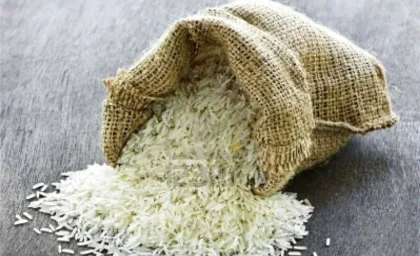 قیمت جدید انواع برنج هاشمی 31 خرداد ۱۴۰۵ | کیسه ۱۰ کیلویی برنج هاشمی درجه یک را چند بخریم؟ + جدول