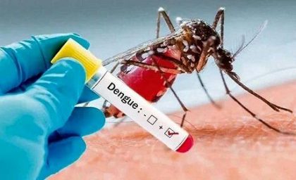 زنگ خطر تب دنگی به صدا درآمد؛ وزارت بهداشت هشدار داد