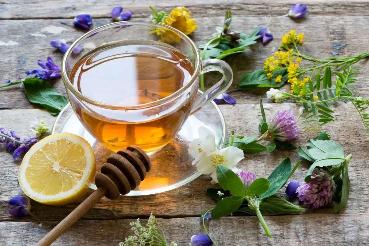 با این دمنوش‌های گیاهی خستگی را از تن بیرون کنید؛ از بابونه تا سنبل‌الطیب + طرز تهیه