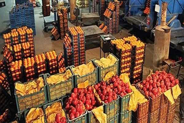 احداث ۲۴ بازارچه میوه و تره‌بار در اهواز؛ گامی برای توسعه زیرساخت‌های توزیع محصولات کشاورزی
