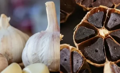 تفاوت سیر سیاه با سیر معمولی؛ کدام انتخاب بهتری است؟