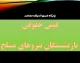 فیش حقوقی بازنشستگان نیروهای مسلح؛ ورود به سامانه ساتا و دریافت فیش حقوقی با کد ملی