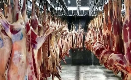 قیمت جدید گوشت قرمز امروز یکشنبه ۸ شهریور ۱۴۰۵ | هر کیلو ران گوسفندی ۲.۱۹ میلیون تومان و ران گوساله ۲.۱۳ میلیون تومان / بازار در آرامش کامل؛ نوسان صفر قیمت ها در نخستین روز کاری هفته
