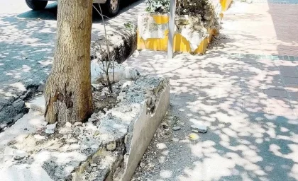 پشت‌پرده اتفاقات خیابان سنایی تهران؛ تخریب جدول‌ها و حواشی کافه‌ها چیست؟ / ماجرای خیابان سنایی ادامه دارد؛ از ساماندهی معابر تا پلمب کافه‌ها