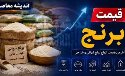 قیمت جدید برنج شمال امروز ۳ شهریور؛ از طارم هاشمی ممتاز تا دم سیاه محلی + جدول / هر کیلو ۴۳۰ تا ۵۴۰ هزار تومان؛ نرخ‌های عمده و کارخانه‌ای در مازندران و گیلان اعلام شد