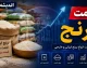 قیمت جدید برنج شمال امروز ۳ شهریور؛ از طارم هاشمی ممتاز تا دم سیاه محلی + جدول / هر کیلو ۴۳۰ تا ۵۴۰ هزار تومان؛ نرخ‌های عمده و کارخانه‌ای در مازندران و گیلان اعلام شد
