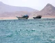 آخرین وضعیت ترافیک دریایی در تنگه هرمز و باب‌المندب؛ تردد کشتی‌ها در دو آبراه راهبردی زیر ذره‌بین