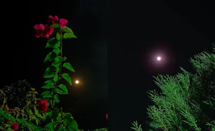 فال ابجد شنبه ۷ شهریور ۱۴۰۵ برای متولدین هر ماه / فال امروز شما چه پیامی دارد؟ / طالع ابجد ۱۲ ماه را بخوانید