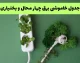 جدول قطعی برق چهارمحال و بختیاری جمعه ۳۰ مرداد ۱۴۰۵؛ ساعت خاموشی شهرکرد، بروجن، لردگان، فارسان و دیگر مناطق / قطعی برق چهارمحال و بختیاری جمعه ۳۰ مرداد ۱۴۰۵؛ جدول زمان بندی خاموشی و مناطق مشمول اعلام شد