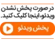 ایده ناب برای شام امشب / با مغز ران مرغ یک غذای خوشمزه و سریع درست کنید / دستور ساده و فوری