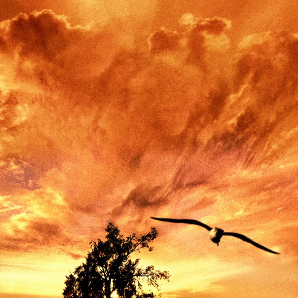 اخبار روانشناسی | چرا زندگی شما مهم‌ تر از چیزی است که تصور می‌ کنید؟