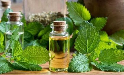 روغن کندوش (کندش)؛ از معجزه‌ای برای رشد مو تا هشدارهای جدی درباره مصرف خوراکی + جدول خواص و روش استفاده