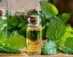 روغن کندوش (کندش)؛ از معجزه‌ای برای رشد مو تا هشدارهای جدی درباره مصرف خوراکی + جدول خواص و روش استفاده