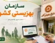 سازمان بهزیستی کشور؛ راهنمای کامل ثبت‌نام و دریافت خدمات بهزیستی برای مستمری‌بگیران + مراحل ثبت درخواست