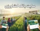 وب‌سایت رسمی بانک کشاورزی؛ آدرس و اطلاعات تماس + خدمات الکترونیک برای کشاورزان و متقاضیان وام