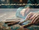 فال چوب امروز چهارشنبه ۴ شهریور ۱۴۰۵ | فال چوب چهارشنبه برای متولدین ماه های مختلف
