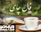 فال چای فردا ۲۷ مرداد ۱۴۰۵؛ پیش‌بینی نمادهای برگ چای برای متولدین هر ماه + راهنمای تعبیر