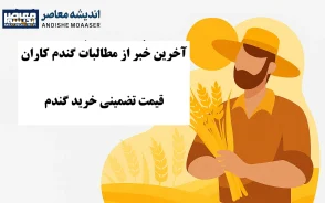 خرید تضمینی گندم ۱۴۰۵ | پرداخت ۲۲۰ همت به گندمکاران و آخرین وضعیت مطالبات + جدول