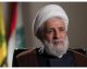 از مواضع ایران اسلامی تجلیل می‌کنیم؛ دست از مقاومت نخواهیم کشید