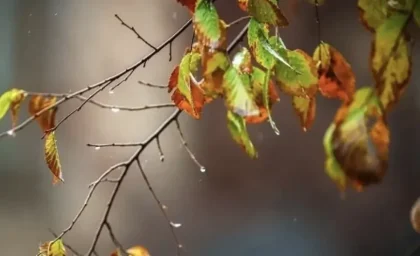 آب‌وهوای اصفهان امروز چهارشنبه ۱ مهر ۱۴۰۵؛ پیش‌بینی هوا تا چند روز آینده