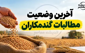 آخرین وضعیت مطالبات گندمکاران در یکم مهر ۱۴۰۵ | واریز ۲۷۵ همت و وعده پرداخت ۱۰۰ همت دیگر
