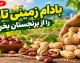 بهترین بادام زمینی آستانه اشرفیه؛ بادام تازه و خوش طعم را از برنجستان بخرید/شماره تماس و ثبت سفارش: 09397021056