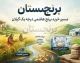 تفاوت برنج صدری هاشمی با سایر برنج ها؛ برنج هاشمی چیست و بهترین برنج هاشمی درجه یک گیلان را از کجا بخریم؟