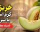 خربزه گرم است یا سرد؟ | طبع خربزه در طب سنتی و مصلح آن